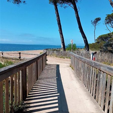لا لوند-ليه-مور Le Jardin De La Plage - Linges Inclus المظهر الخارجي الصورة